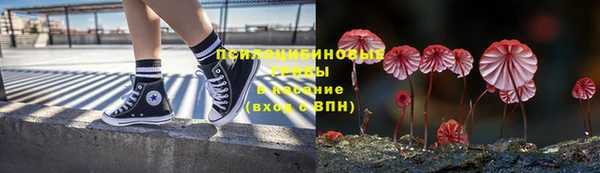 соль ск Алексеевка