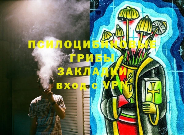 соль ск Алексеевка